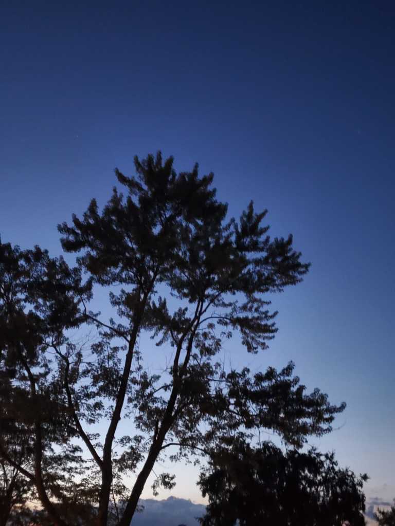 Kelsey  Richardson  - 10