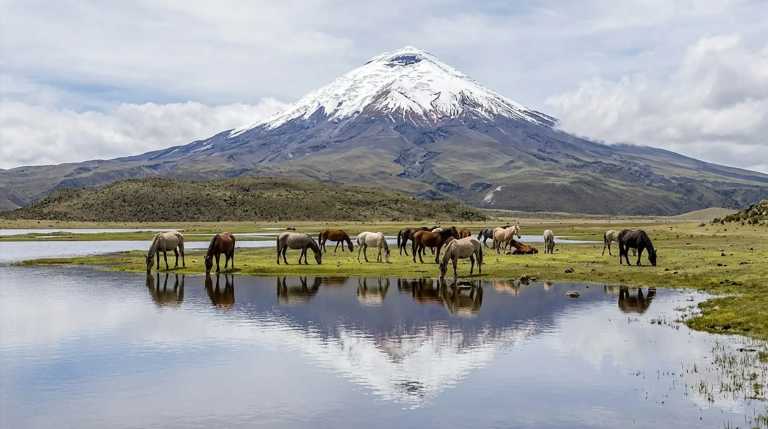 Ecuador - Parque Nacional Cotopaxi - 🇪🇨 Ecuador Mainland Essentials 🌋🦙 ALL INCLUSIVE!