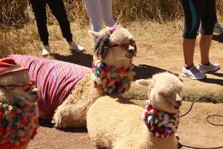 Marife Maita Morales - 1