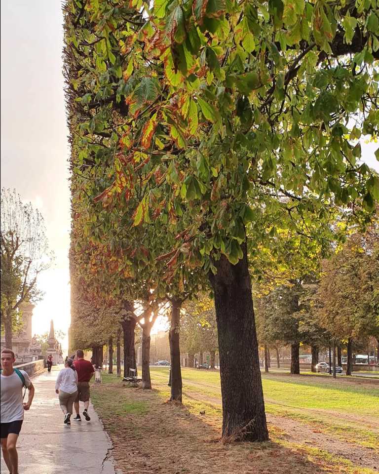 Karla De La Garza - 12