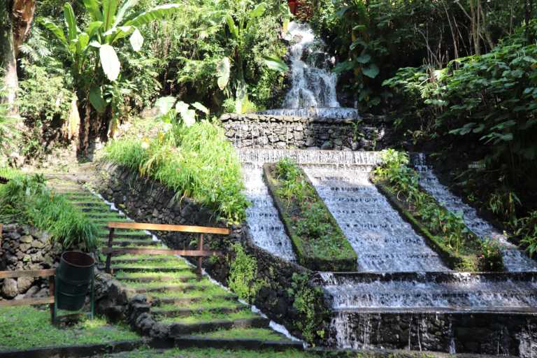 Fernando Guerrero - 2