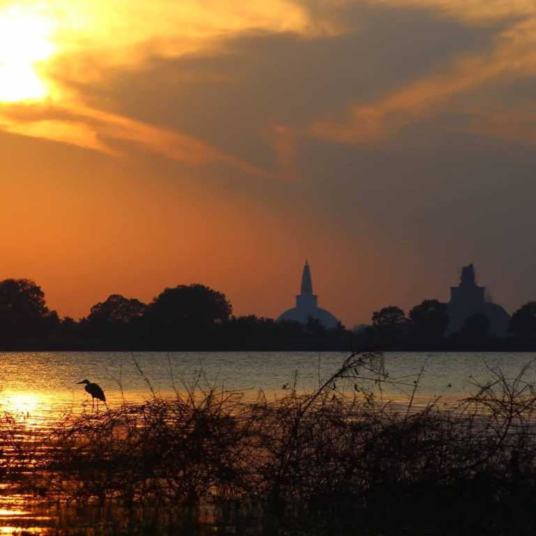 Madhawa Karalliyadda - 8