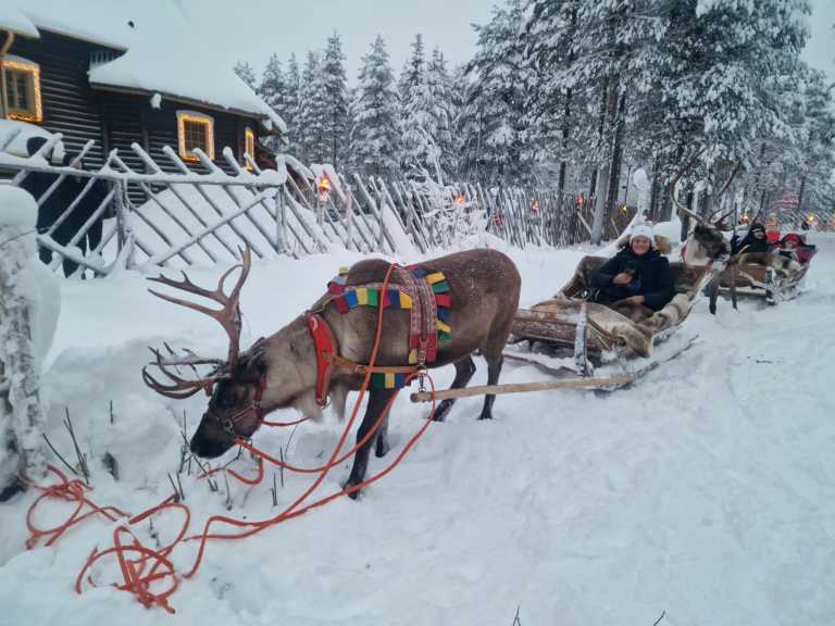 Finnland - Finnland Abenteuer: Von Helsinki bis Rovaniemi: Husky Tour, Santa Claus Village, Polar Express & Nordlichter – Arctic Action pur✨❄️ - JoinMyTrip