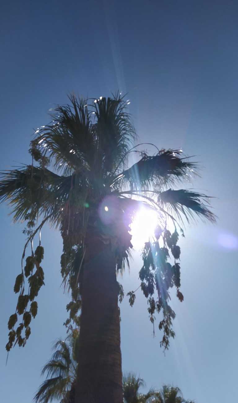 Letizia Galletti - 27