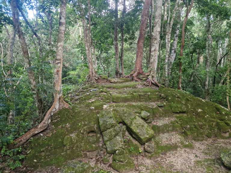 Guatemala - Antigua Guatemala - Into the Jungle: Volcanoes, Atitlán & El Mirador Trek - 4