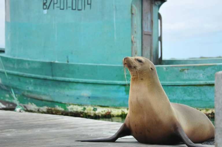 Ecuador - 5 Days Galapagos Adventure - JoinMyTrip