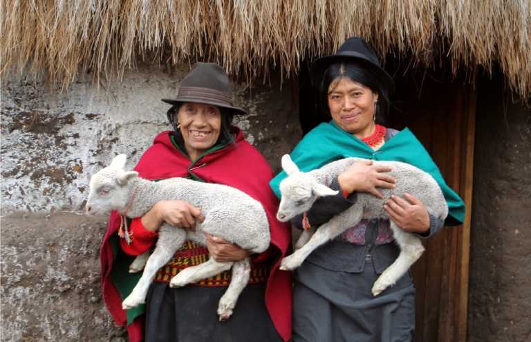 Ecuador - 14 Days Ecuadorian Andean Cultures Tour - JoinMyTrip