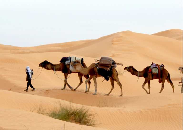 Marokko - Sahara Desert Erg Chaabi - 3 Days Trip From Marrakech - JoinMyTrip