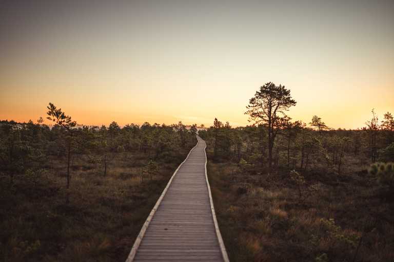 Northern Europe - Loksa tee - Discover the Baltic States - Tallinn, Riga, Vilnius and much more! - 1