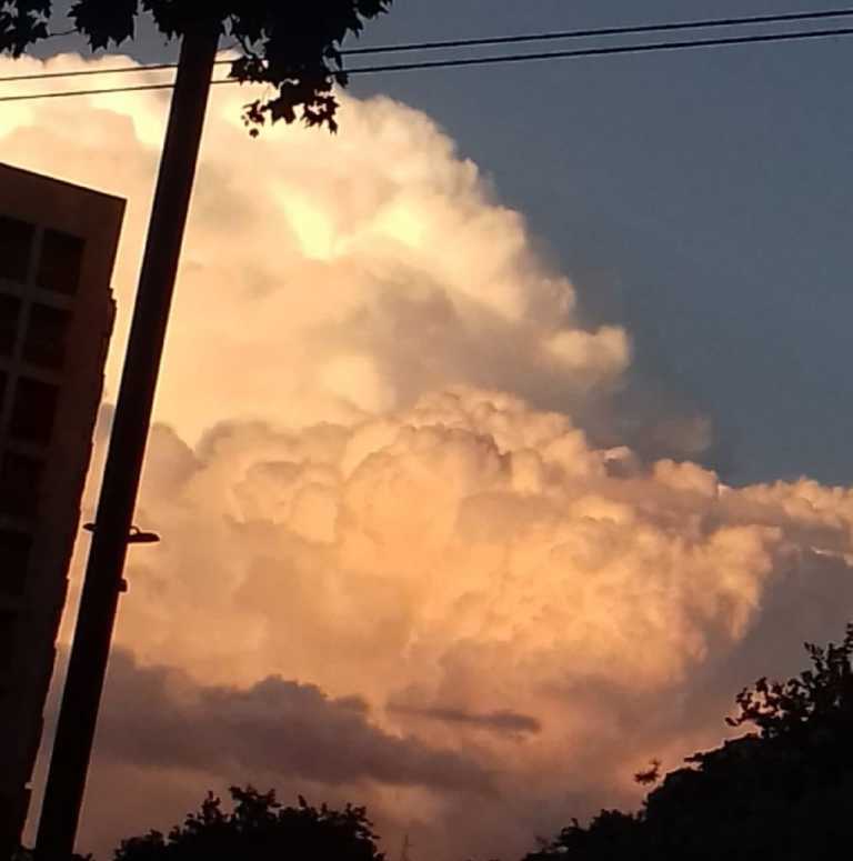 Elisa Jolin Feijoó - 4