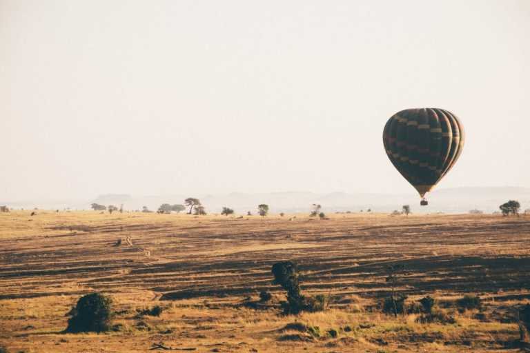 Tanzania - Serengeti National Park - Join to One of The Best African Safari Trips in Tanzania - 2