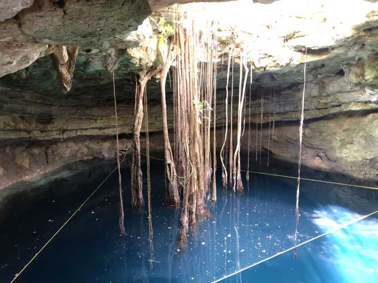 Francisco Jiménez Luna - 4