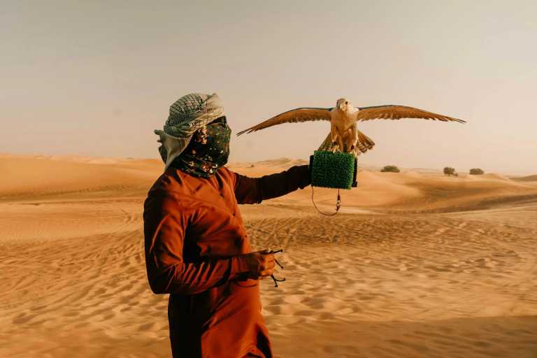 United Arab Emirates - Dubai - Wander & Unwind: Dubai - 1
