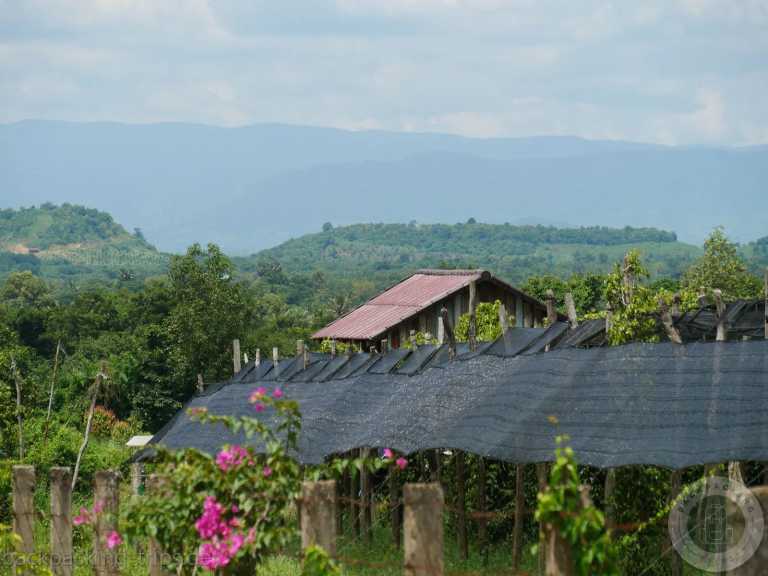 South-eastern Asia - Krong Kampot - 🇰🇭 Kambodscha - Backpacking Trip durch Kambodscha incl. Angkor Wat 🏯 Pfefferplantagen 🌿 & Inselwelten 🌅 - 2