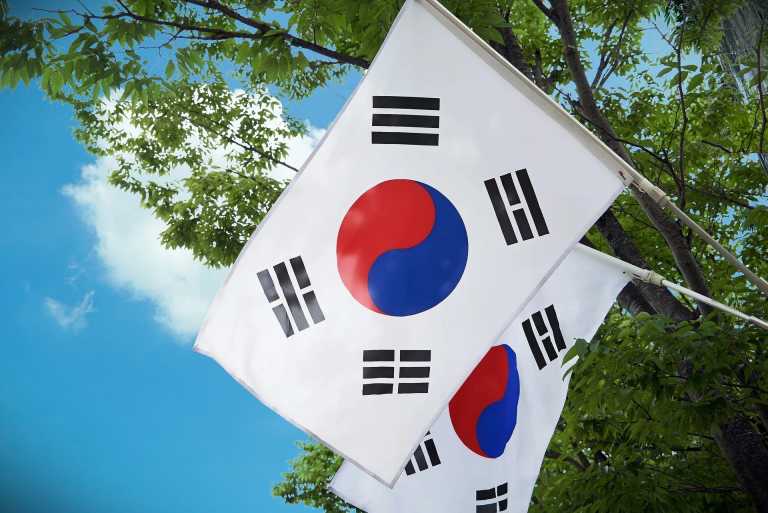 Eastern Asia - DMZ zone - Discover South Korea & Japan (Private room): Nami Island, Mount Fuji, Samurai Experience, Matcha making and more!