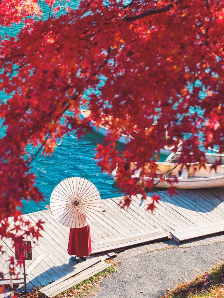 Japan - 🍜 The Golden Route Reimagined: 14 Nights Through Osaka, Kyoto, Hikone & Tokyo 🎎 (PRIVATE ROOMS) - JoinMyTrip