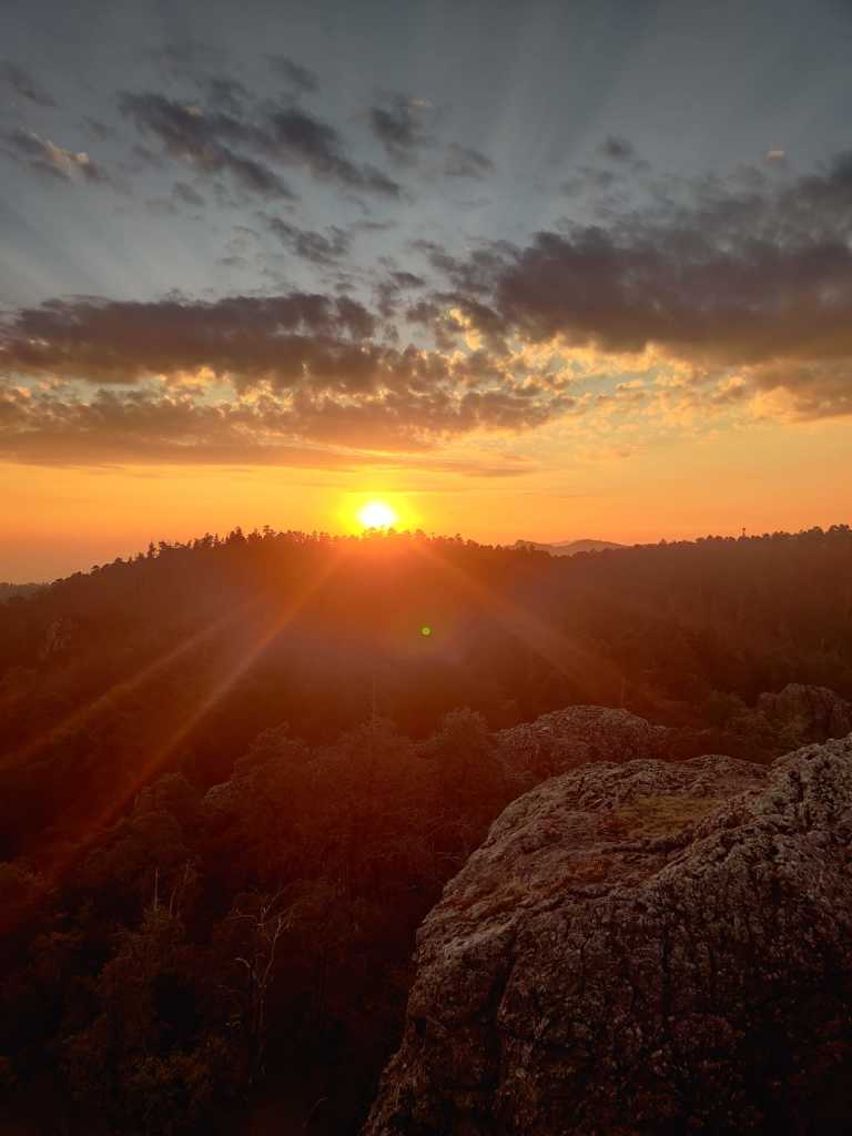 Fernando Guerrero - 21