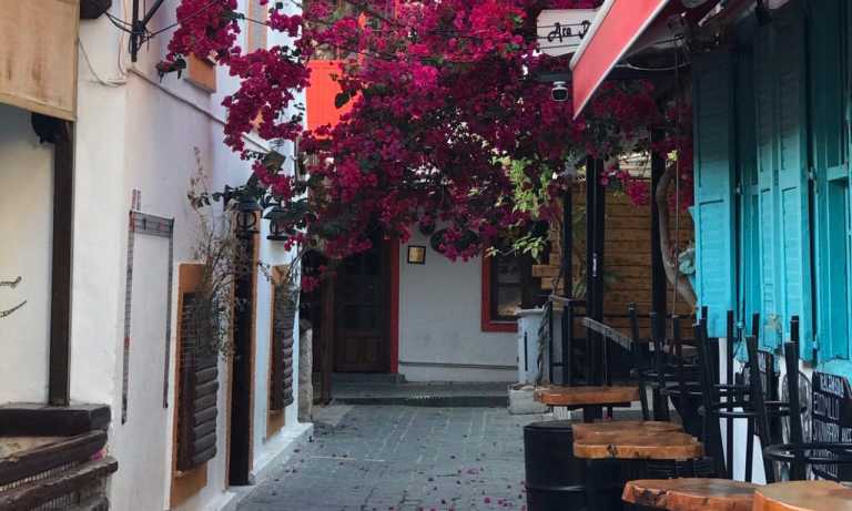 Tuğba Nur Karaman - 7