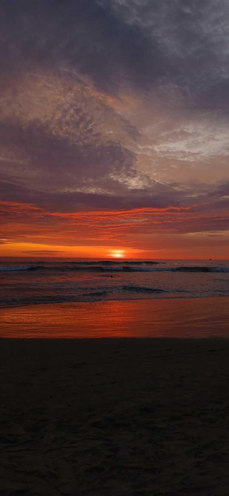 Megan Létourneau - 0