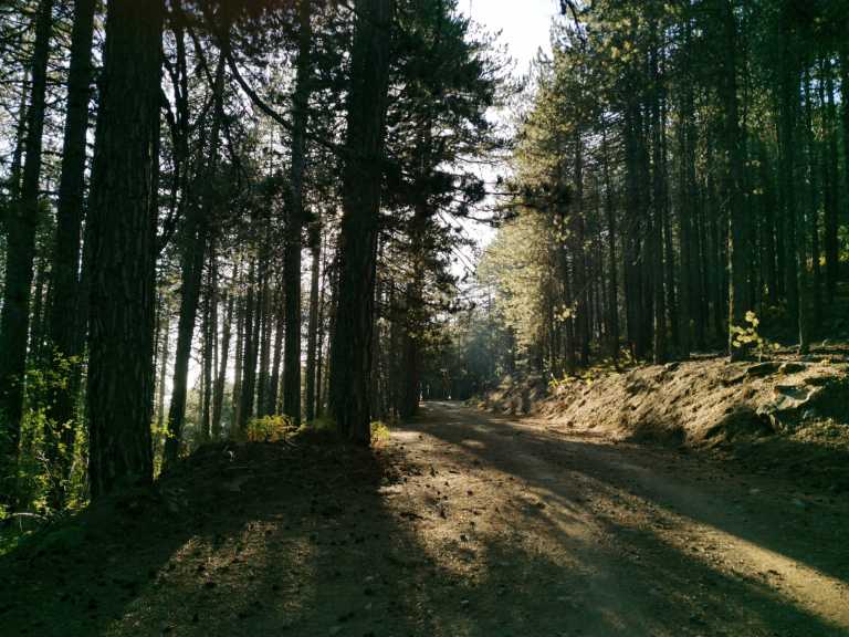 Alisia Jordanou - 10