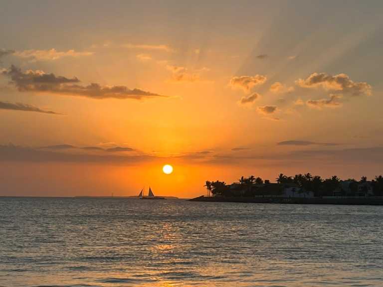 Annarita Dal Pino - 4