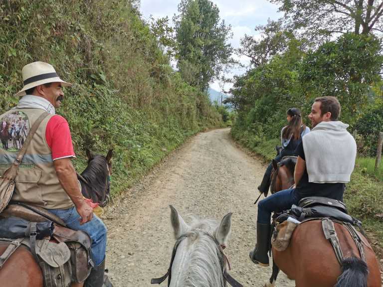 Andrei -Innate Adventures- - 9