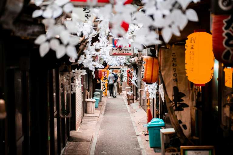 Japan - Tokyo - Discover Japan: Mount Fuji, Samurai Experience, Matcha making and more!