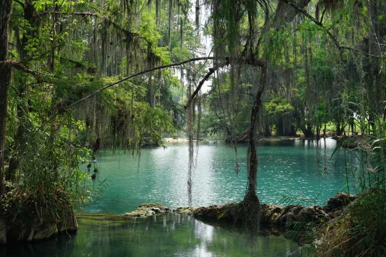 Mexico - Discover the natural hidden wonder - Huasteca Potosina in Mexico - JoinMyTrip