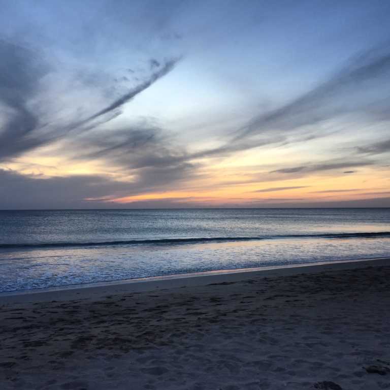 Madhawa Karalliyadda - 13