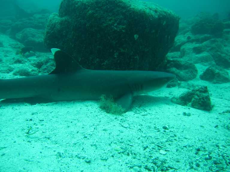 Alexander Stanulla - 9