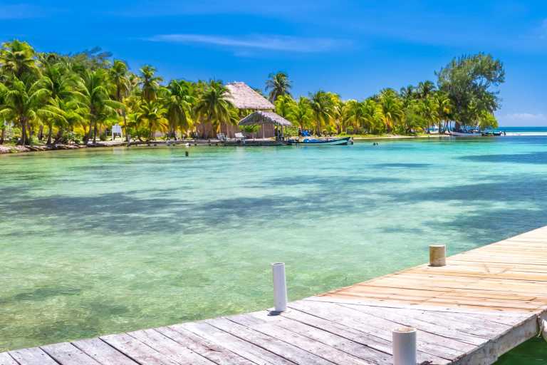 Friday Paris Pfizer - 4