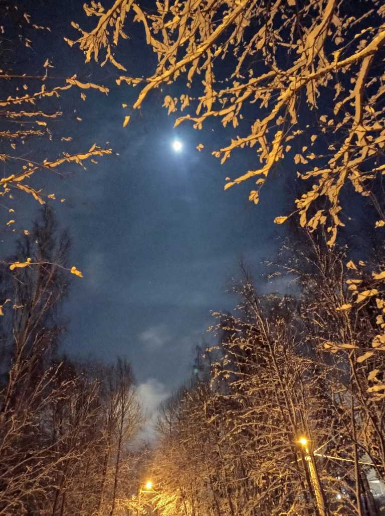 Anniina Haaranen - 1