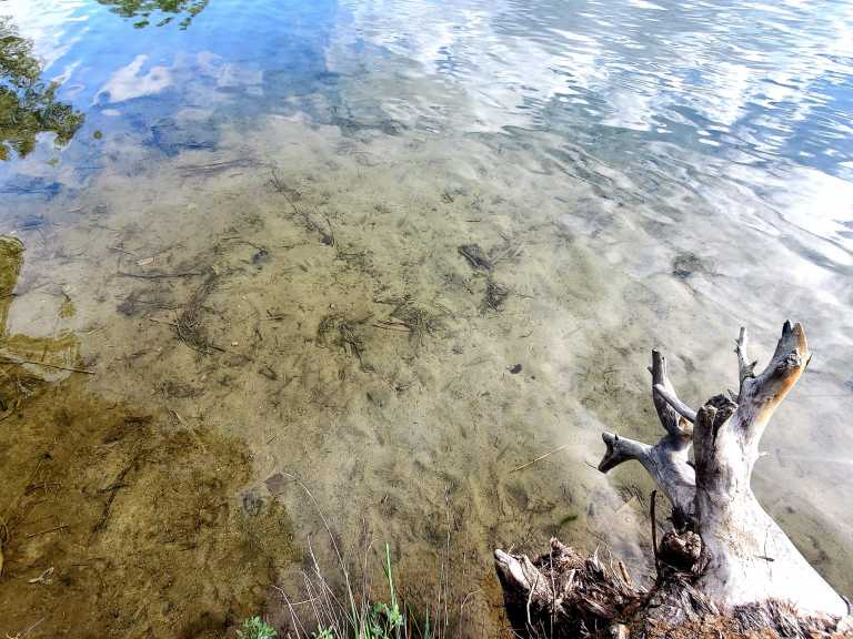 Kelsey  Richardson  - 5