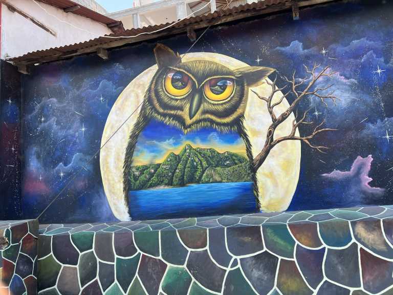 Anthony Abraham - 16