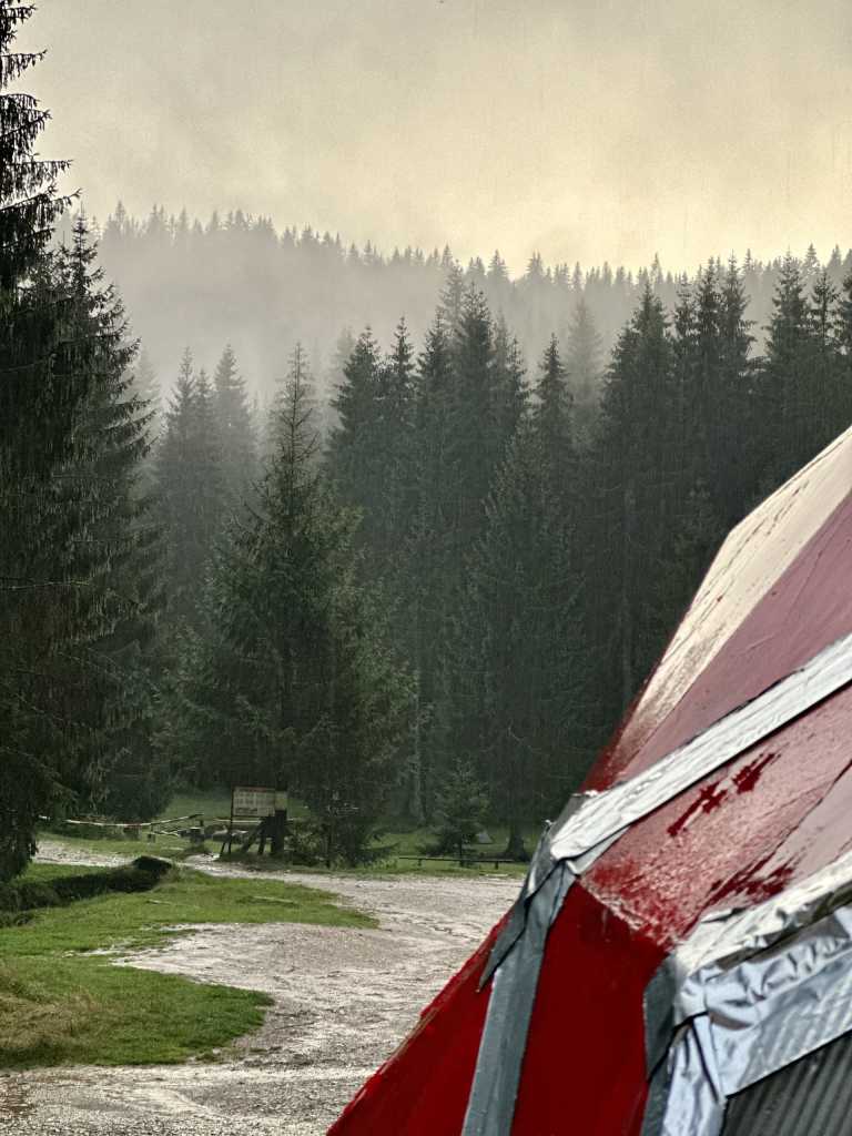 Razvan Gabriel Rizea - 12