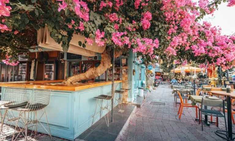 Tuğba Nur Karaman - 8