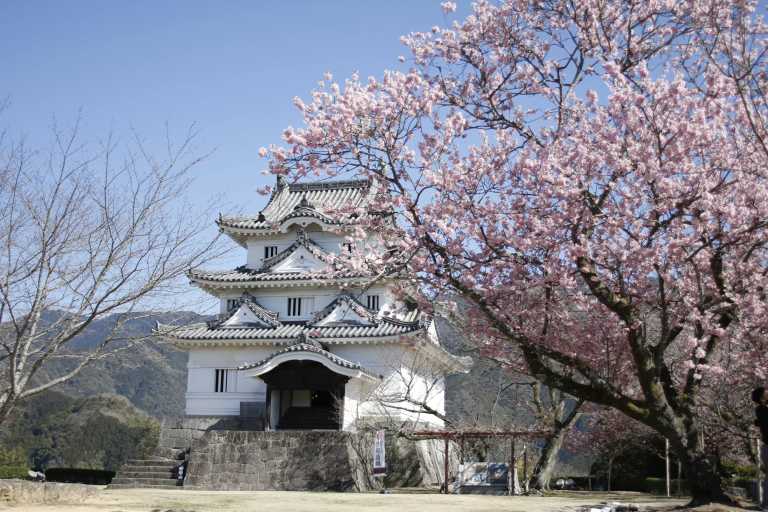 Japan - PRIVATE ROOM on the JAPAN HIGHLIGHTS TOUR with train pass🔴! 12 Days EXCLUSIVE Cherry Blossom and more in 2026. - JoinMyTrip