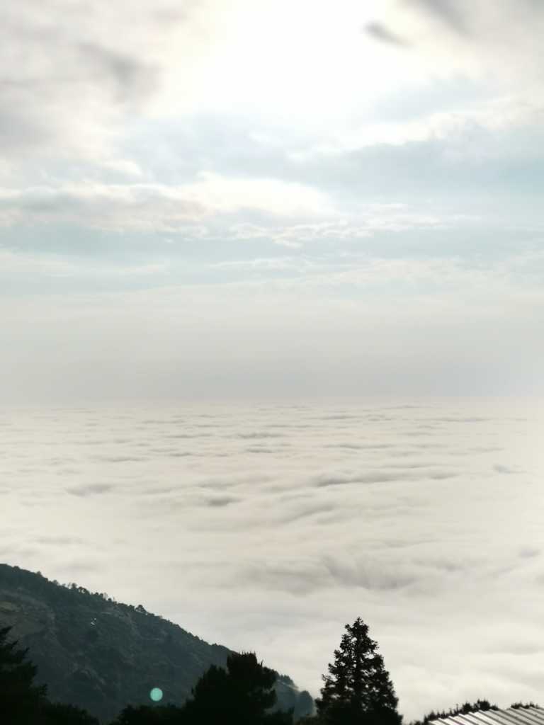 Fernando Guerrero - 23