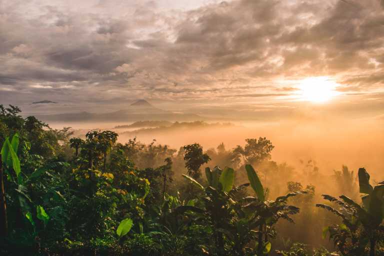 Indonesien - Yogyakarta International Airport - Experience the Best of Borobudur and Hike Mt. Prau in 5 Days - An Outdoor Adventure in Indonesia