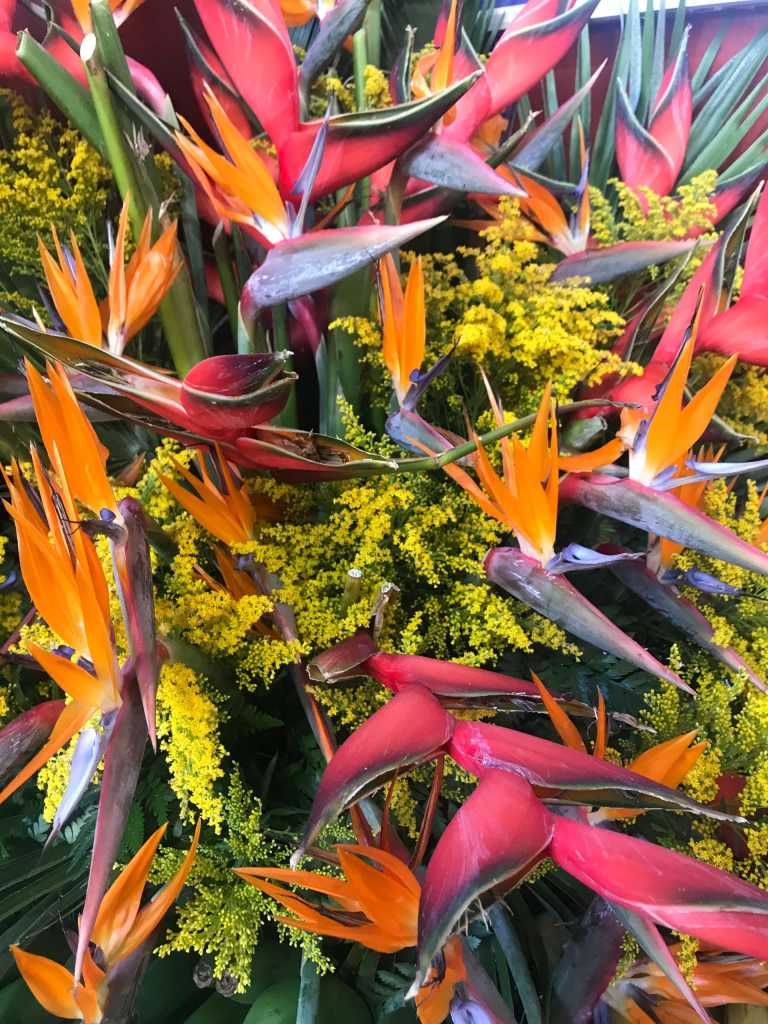 Jana Gerstenmaier - 3