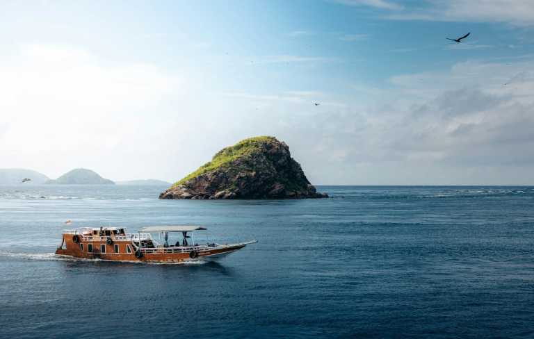 Indonesia - WHALE SHARKS TO KOMODO DRAGONS LIVEABOARD EXPEDITIONS - JoinMyTrip