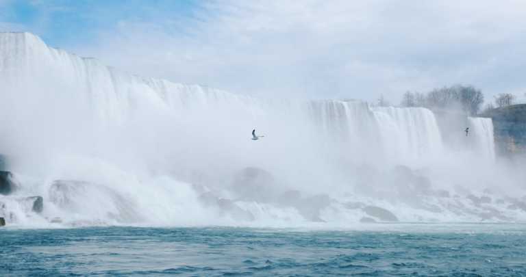 Canada - Niagara Falls - Enjoying the Wineries of Niagara SHARED ACCOMMODATION - 2