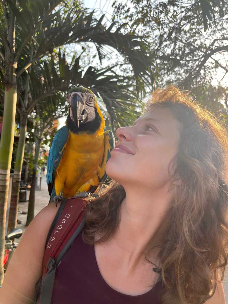 Kateřina Ovčiariková - 0