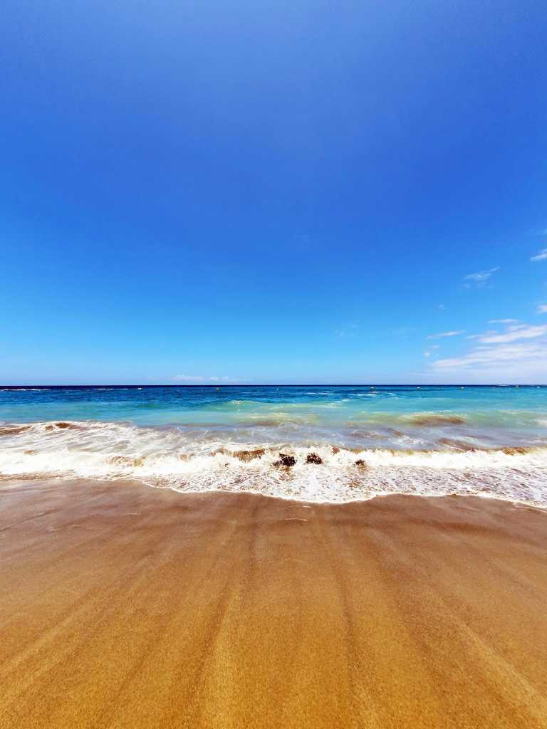 Spain - Los Cristianos - Sun, Nature and Soul  ✨-  A Relaxed Tenerife Journey from South to North - 2