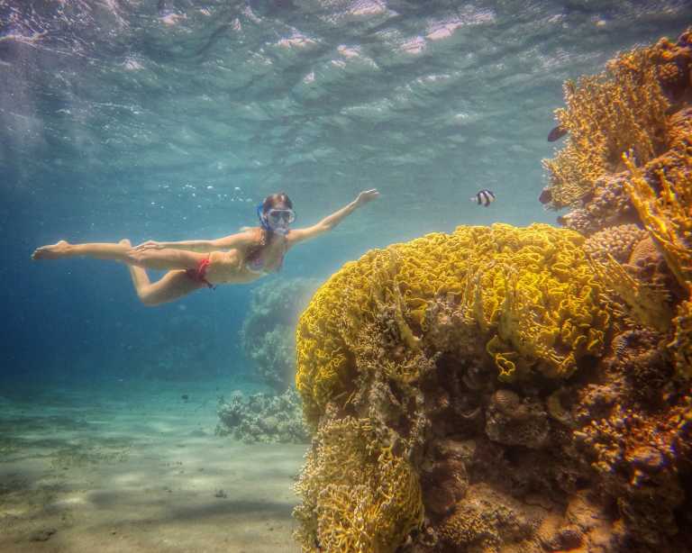 inci ozay hatipoglu - 1