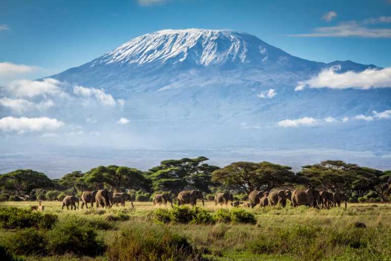 Tanzania - 6 days Serengeti Safari and 7 days Kilimanjaro Summit - JoinMyTrip