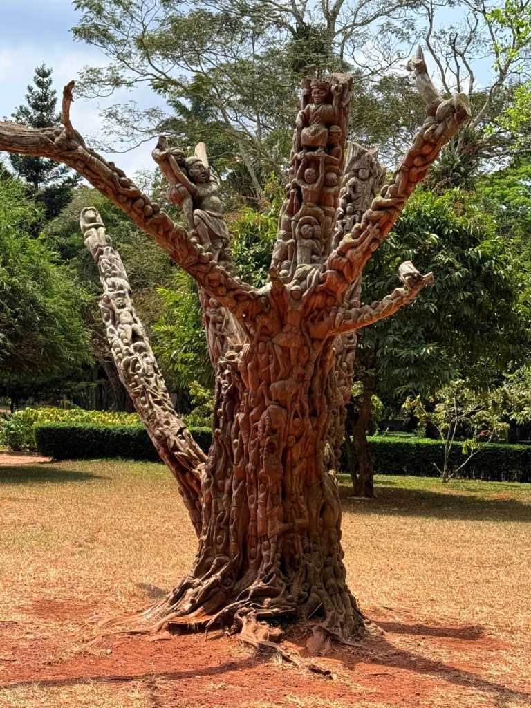 Ghana - Aburi Botanical Gardens & Park | TortoisePath.com - 7 Days Epic Experience In Ghana - 1