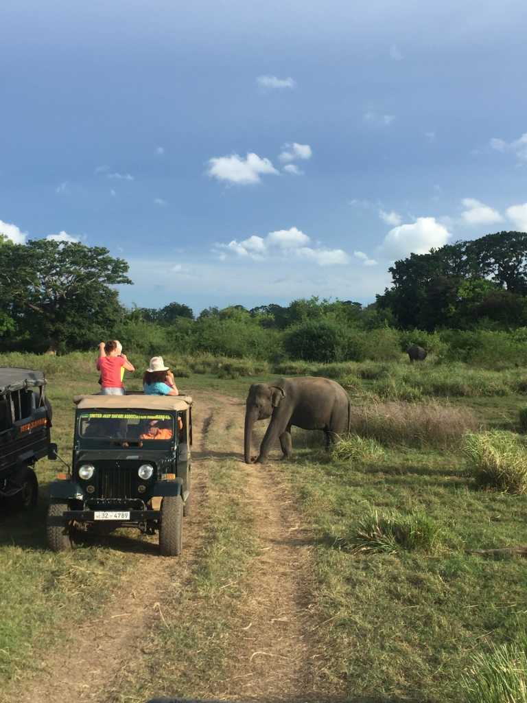 Madhawa Karalliyadda - 9