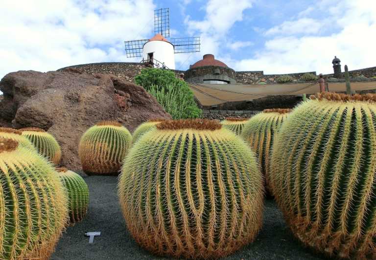 Spanien - Playa Blanca - Exploration in Gran Canaria (surf lessons, horse riding, wine tasting included) - 3