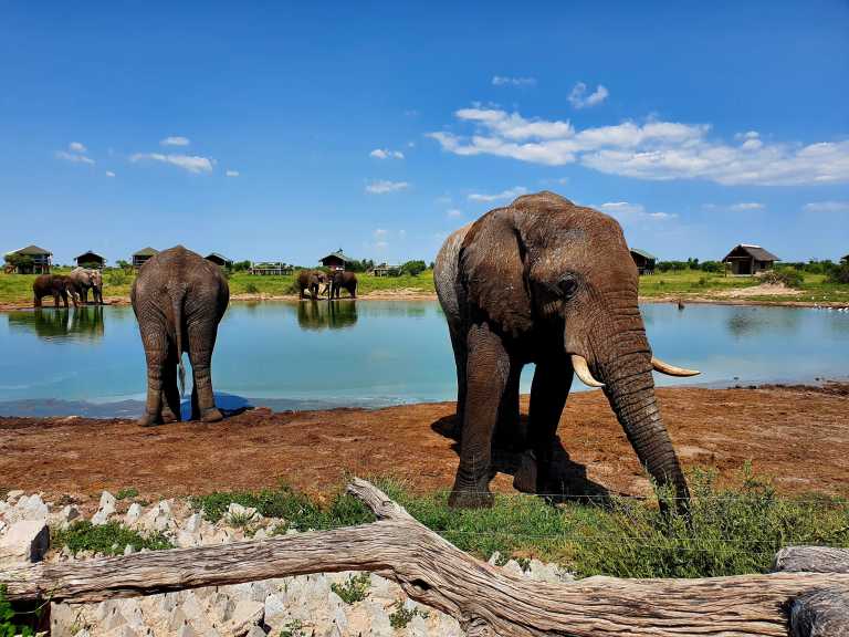 Sue-Ellen Abrahams - 3